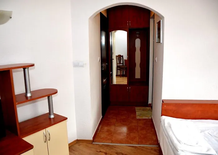 Family Daisy 2* Borino